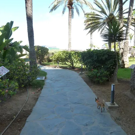 Studio In Top Lage Direkt Am Strand Arguineguin Exterior photo